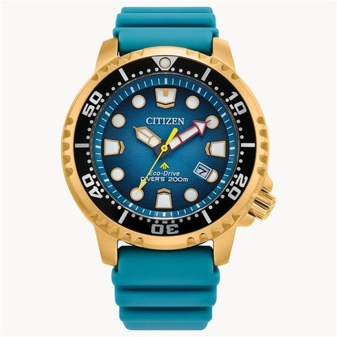 Review Jam Tangan Citizen Promaster Terbaru 2025