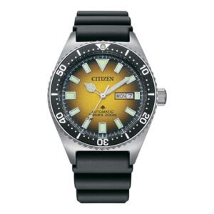 Citizen promaster ny012001x pgj watches Citizen promaster ny0120 01x