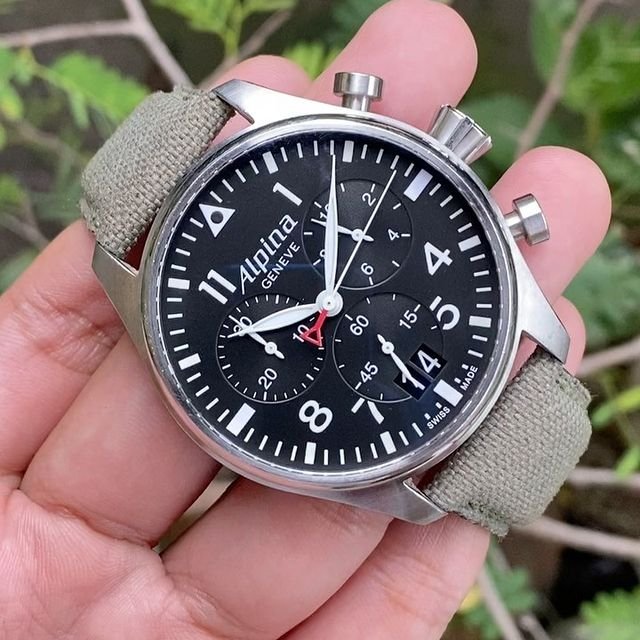 Jam tangan alpina pgj watches Jam tangan alpina